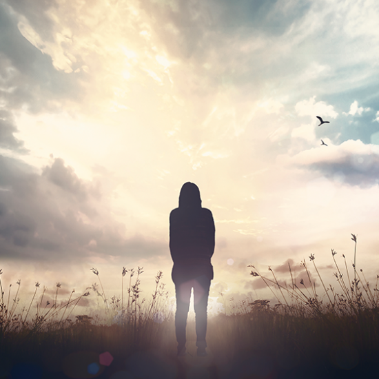 pérdida de la transformación del desafío