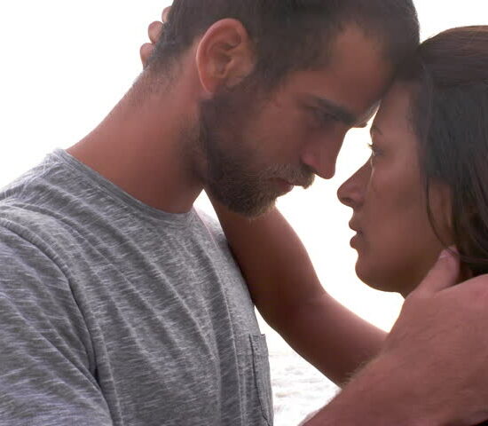 ideas centrales en los amores de paso