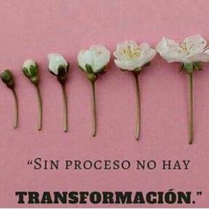 ¡Vive un proceso de transformación TOTAL!