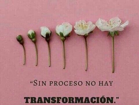 ¡Vive un proceso de transformación TOTAL!.