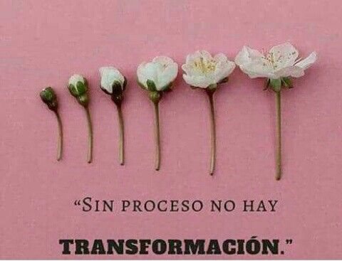 ¡Vive un proceso de transformación TOTAL!.